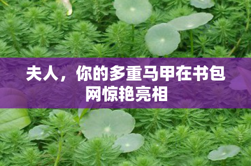 你的多重马甲在书包网惊艳亮相图片