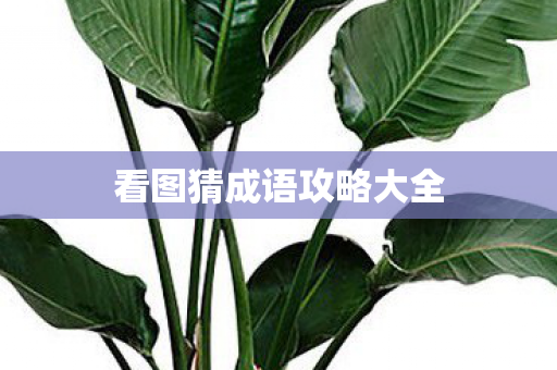 看图猜成语攻略大全图片