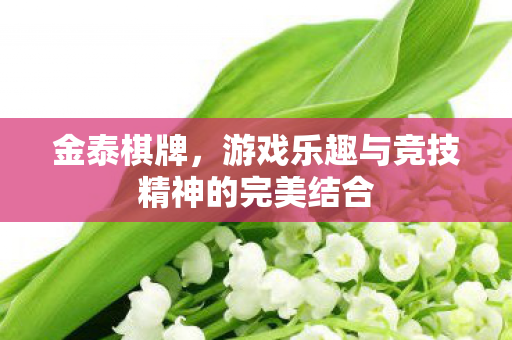 游戏乐趣与竞技精神的完美结合图片