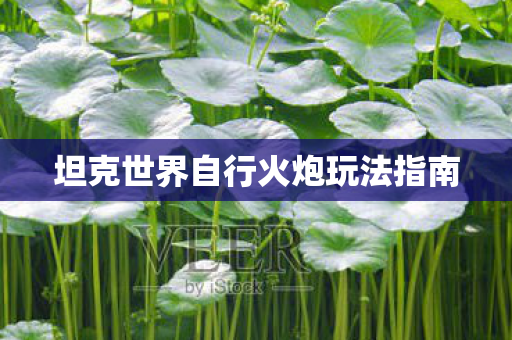 坦克世界自行火炮玩法指南图片