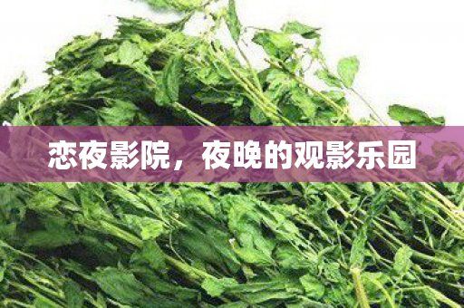 夜晚的观影乐园图片