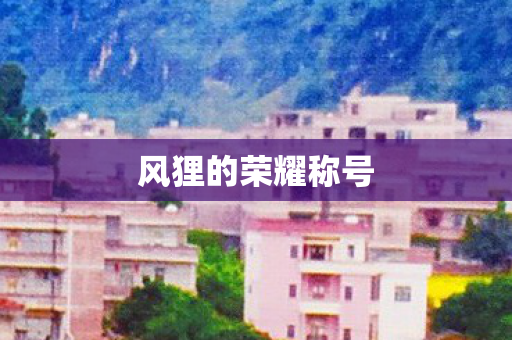 风狸的荣耀称号图片