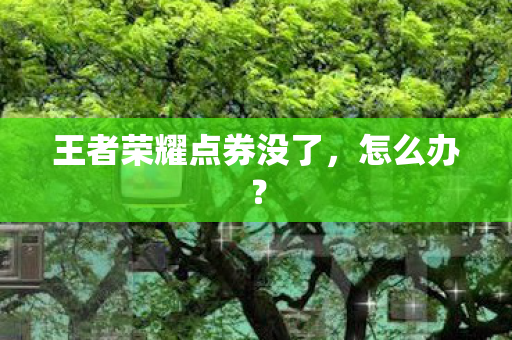 王者荣耀点券没了图片