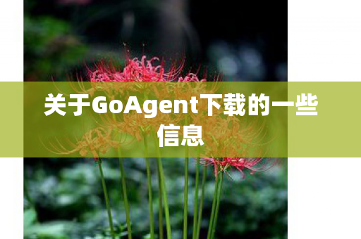 关于GoAgent下载的一些信息图片