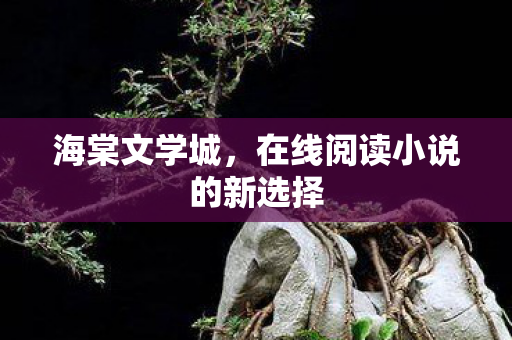 在线阅读小说的新选择图片