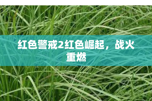 红色警戒2红色崛起图片