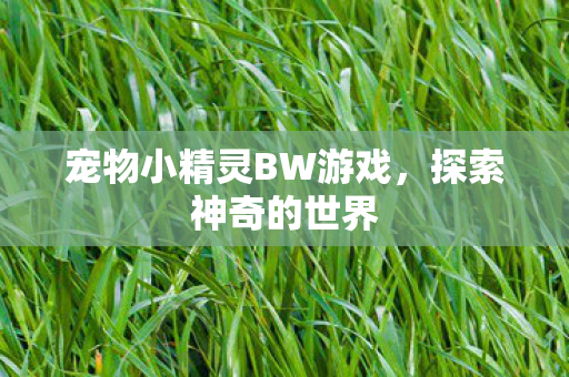 宠物小精灵BW游戏图片