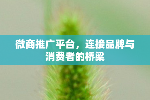 连接品牌与消费者的桥梁图片