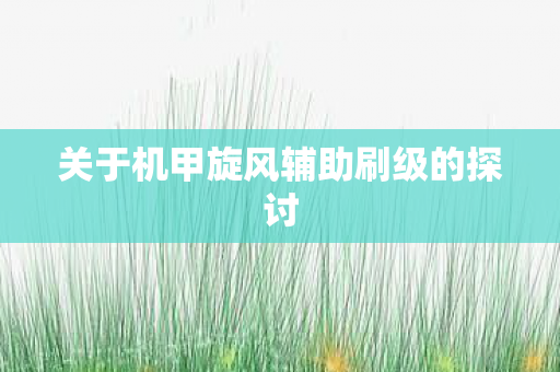 关于机甲旋风辅助刷级的探讨图片