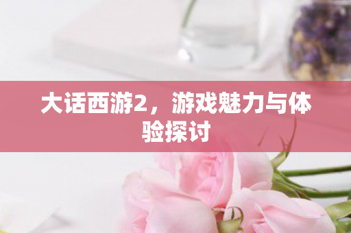 游戏魅力与体验探讨图片