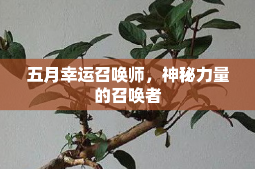 神秘力量的召唤者图片