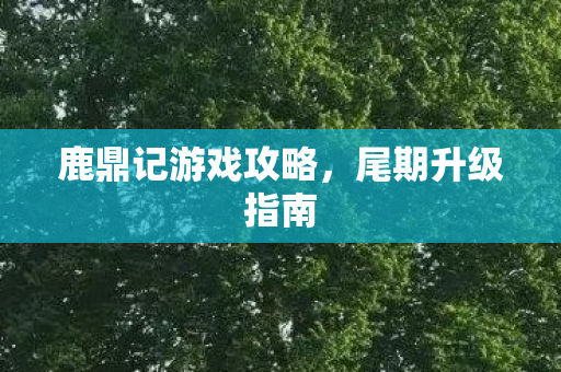 鹿鼎记游戏攻略图片