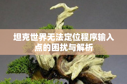坦克世界无法定位程序输入点的困扰与解析图片