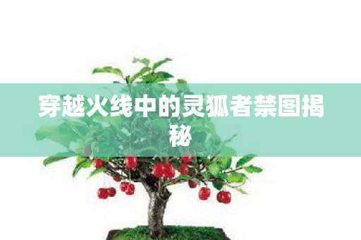 穿越火线中的灵狐者禁图揭秘图片