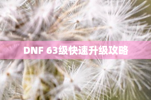 DNF 63级快速升级攻略图片
