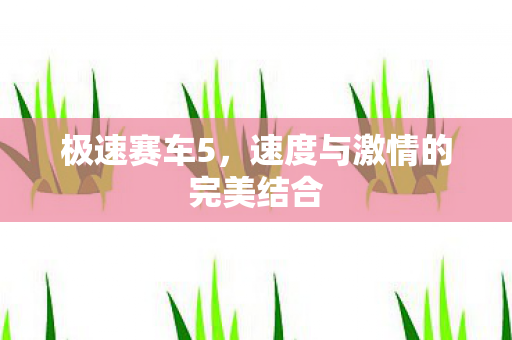速度与激情的完美结合图片