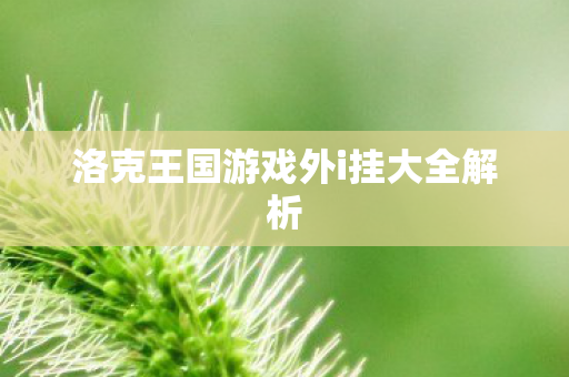 洛克王国游戏外i挂大全解析图片