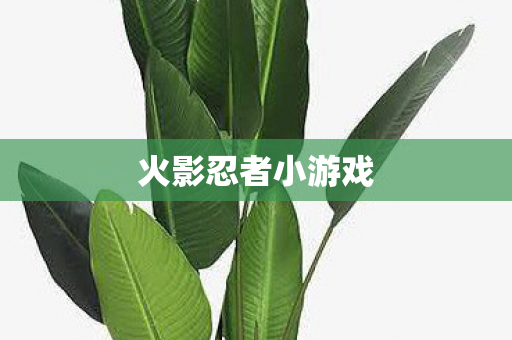 火影忍者小游戏图片