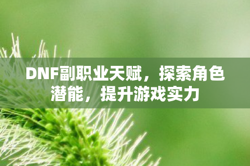 DNF副职业天赋图片