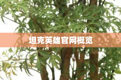 坦克英雄官网概览图片