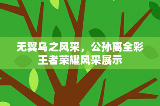 公孙离全彩王者荣耀风采展示图片