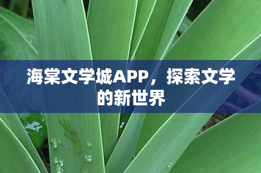 海棠文学城APP图片
