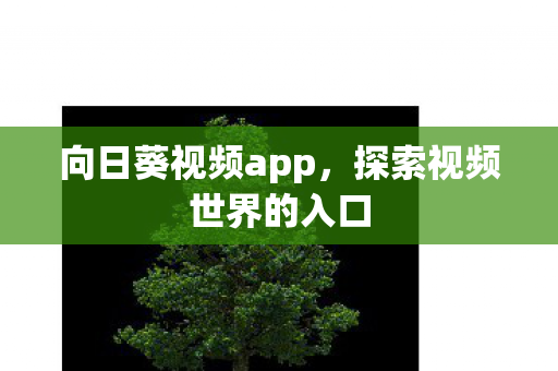 探索视频世界的入口图片