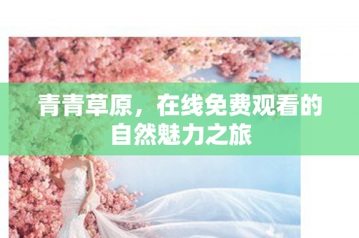 在线免费观看的自然魅力之旅图片