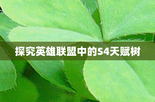 探究英雄联盟中的S4天赋树图片