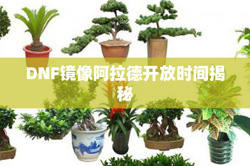 DNF镜像阿拉德开放时间揭秘图片