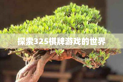 探索325棋牌游戏的世界图片