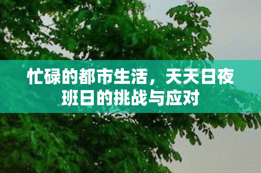 天天日夜班日的挑战与应对图片