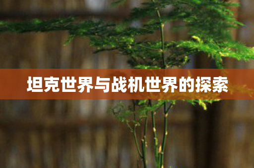 坦克世界与战机世界的探索图片