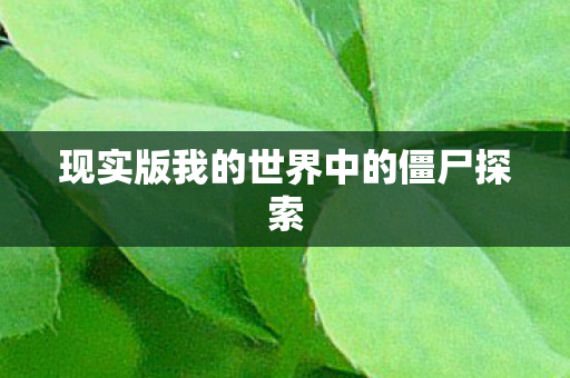 现实版我的世界中的僵尸探索图片