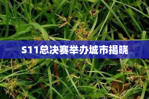 S11总决赛举办城市揭晓图片