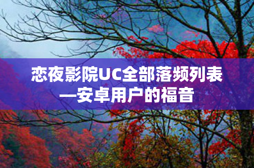 恋夜影院UC全部落频列表图片
