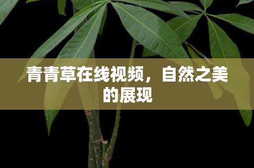 青青草在线视频图片