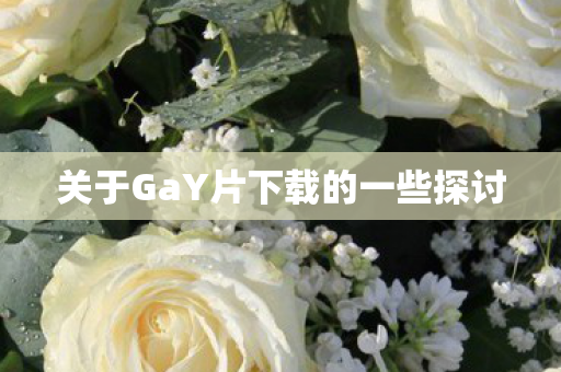 关于GaY片下载的一些探讨图片