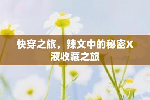 辣文中的秘密X液收藏之旅图片