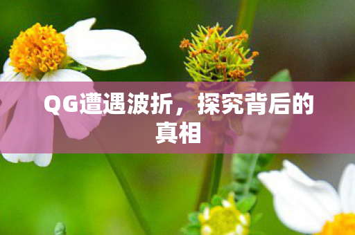 探究背后的真相图片