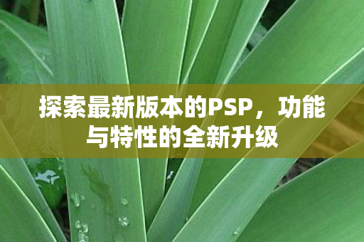 探索最新版本的PSP图片