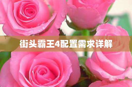 街头霸王4配置需求详解图片