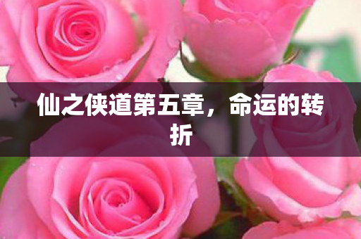 仙之侠道第五章图片