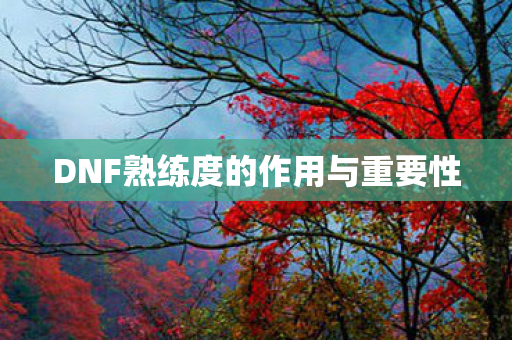 DNF熟练度的作用与重要性图片