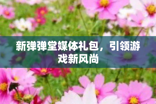 新弹弹堂媒体礼包图片