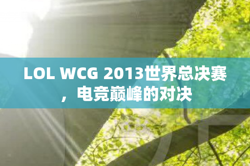 LOL WCG 2013世界总决赛图片