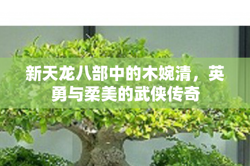 新天龙八部中的木婉清图片