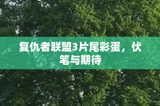 复仇者联盟3片尾彩蛋图片
