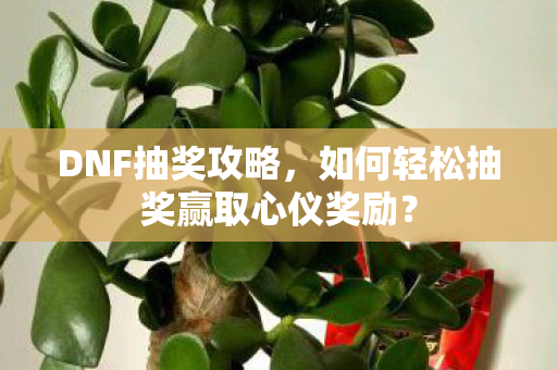 如何轻松抽奖赢取心仪奖励图片