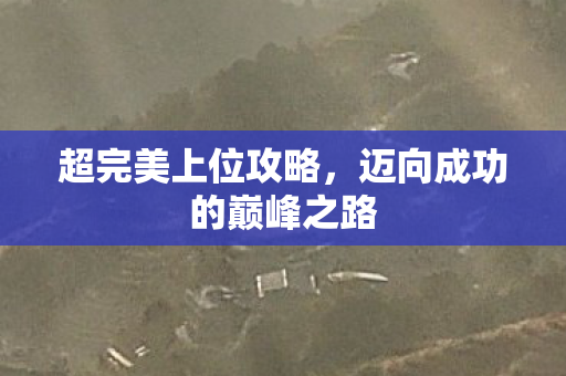 迈向成功的巅峰之路图片